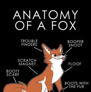 Meet your Posher, Macio